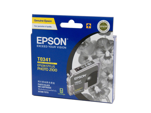 Epson T0341 Photo Black Ink - Click Image to Close