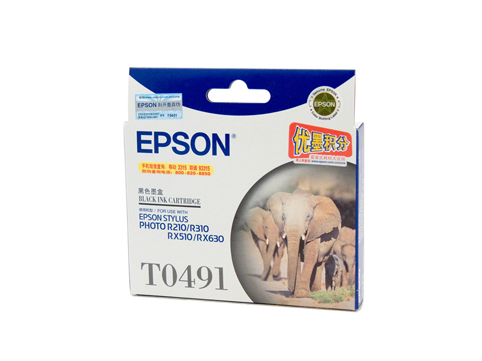 Epson T0491 Black Ink Cart - Click Image to Close