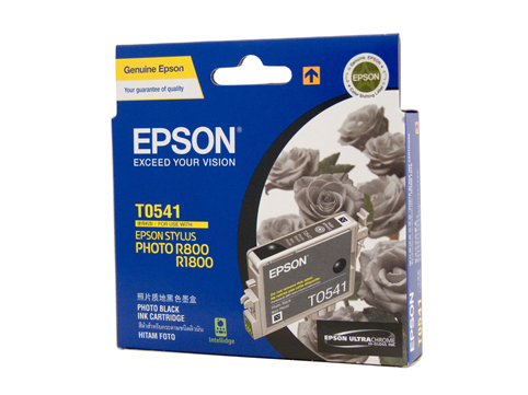 Epson T0541 Photo Black Ink - Click Image to Close